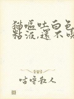 猫呕吐白色泡沫粘液,还不吃东西