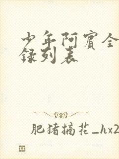 少年阿宾全文目录列表