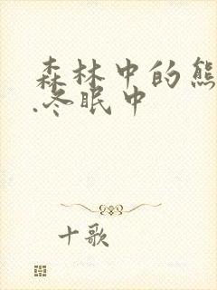 森林中的熊先生.冬眠中封面