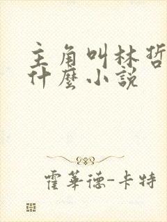 主角叫林哲的是什么小说封面