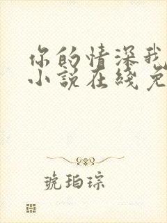 你的情深我不配小说在线免费阅读封面