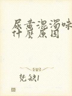 尿黄混浊味重是什么原因