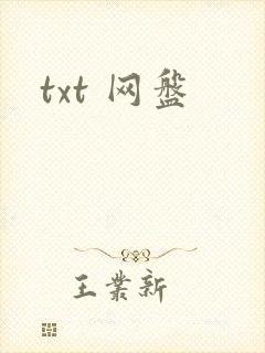 txt 网盘封面