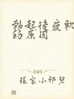 勃起后疲软引起的原因