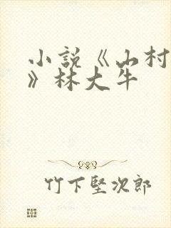 小说《山村情事》林大牛
