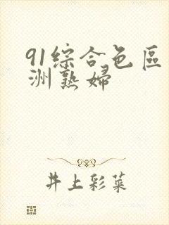 91综合色区亚洲熟妇