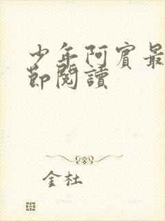 少年阿宾最新章节阅读封面