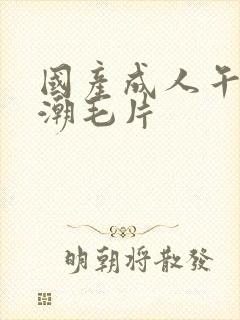 国产成人午夜高潮毛片封面