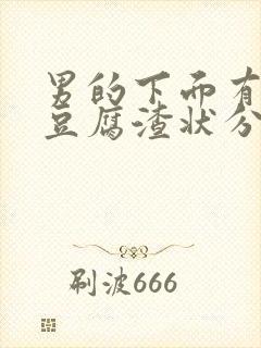 男的下面有白色豆腐渣状分泌物