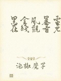 黑金风暴电视剧在线观看免费完整版