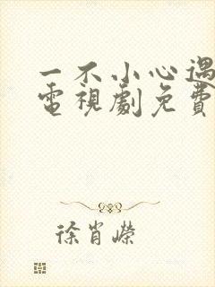 一不小心遇到爱电视剧免费播放封面