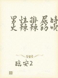 男性排尿时尿道火辣辣的吃什么药