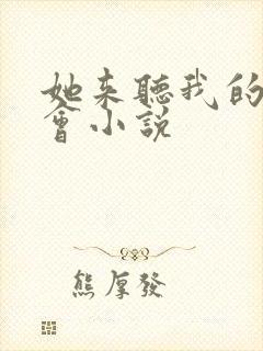 她来听我的演唱会小说