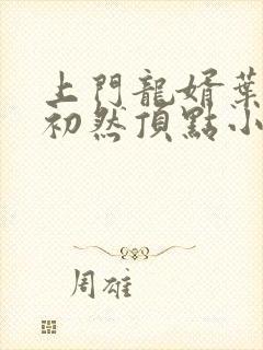上门龙婿叶辰萧初然顶点小说