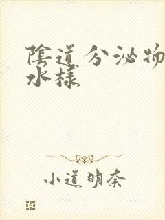 阴道分泌物呈黄水样封面