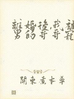 离婚后,我被渣男的哥哥宠上天短剧