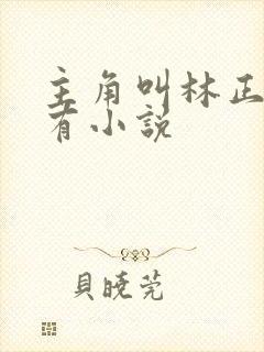 主角叫林正的所有小说封面