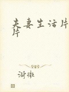 夫妻生活片一级片