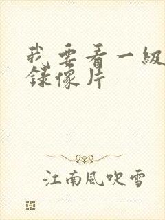 我要看一级黄色录像片