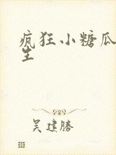 疯狂小糖瓜子先生