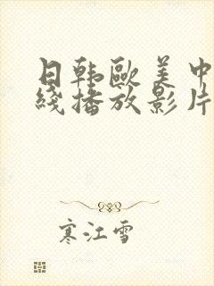 日韩欧美中文在线播放影片