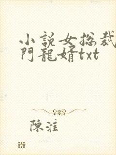 小说女总裁的上门龙婿txt封面