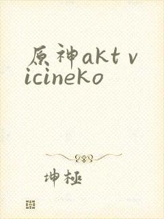 原神akt vicineko封面
