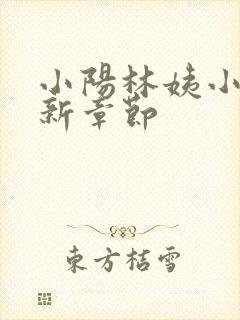 小阳林姨小说最新章节