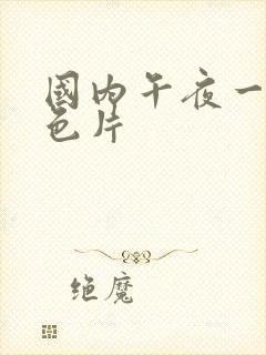 国内午夜一级黄色片