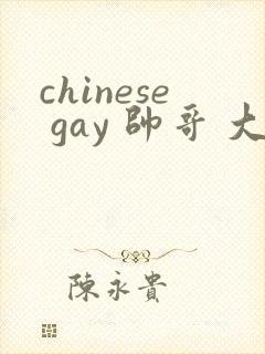chinese gay 帅哥 大