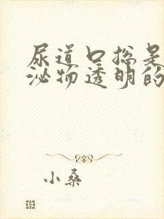 尿道口总是有分泌物透明的