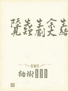 陆先生余生不再见短剧大结局