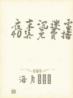 夜末沉迷电视剧40集免费播放下载封面