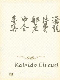 梦中那片海40集全免费观看电视剧西瓜