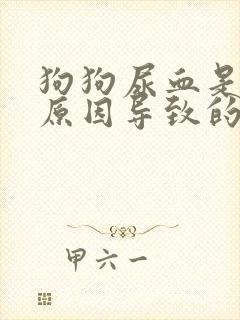 狗狗尿血是什么原因导致的