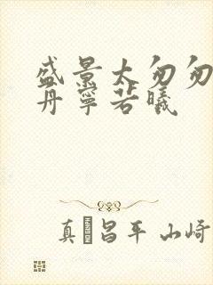 盛景太匆匆沈砚舟宁若曦