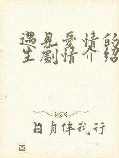 遇见爱情的利先生剧情介绍封面