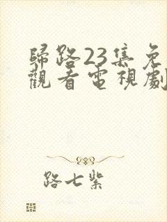 归路23集免费观看电视剧