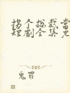 拐个总裁当爹地短剧全集免费观看