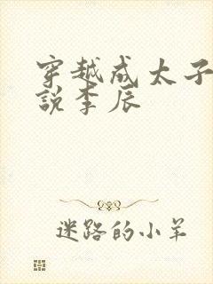 穿越成太子的小说李辰封面