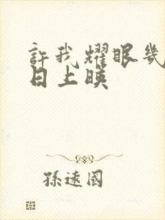 许我耀眼几月几日上映