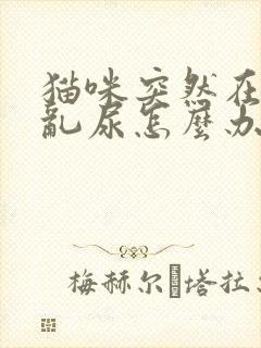 猫咪突然在家里乱尿怎么办封面