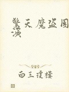 惊天魔盗团2导演