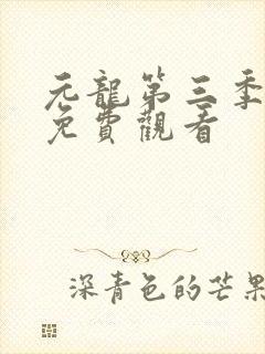 元龙第三季在线免费观看