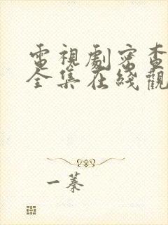 电视剧密查免费全集在线观看谍战迷