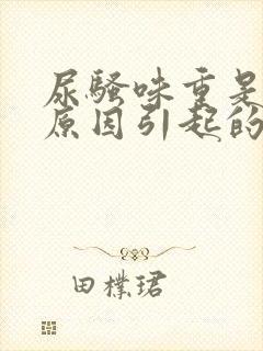 尿骚味重是什么原因引起的封面