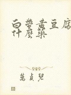 白带黄豆腐渣用什么药