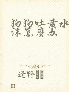 狗狗吐黄水带泡沫怎么办