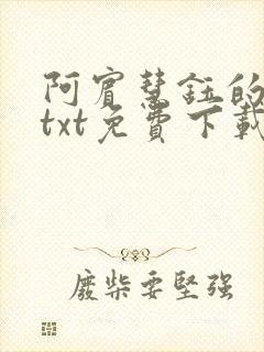 阿宾慧钰的小说txt免费下载