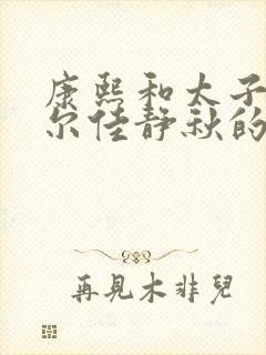 康熙和太子妃瓜尔佳静秋的小说